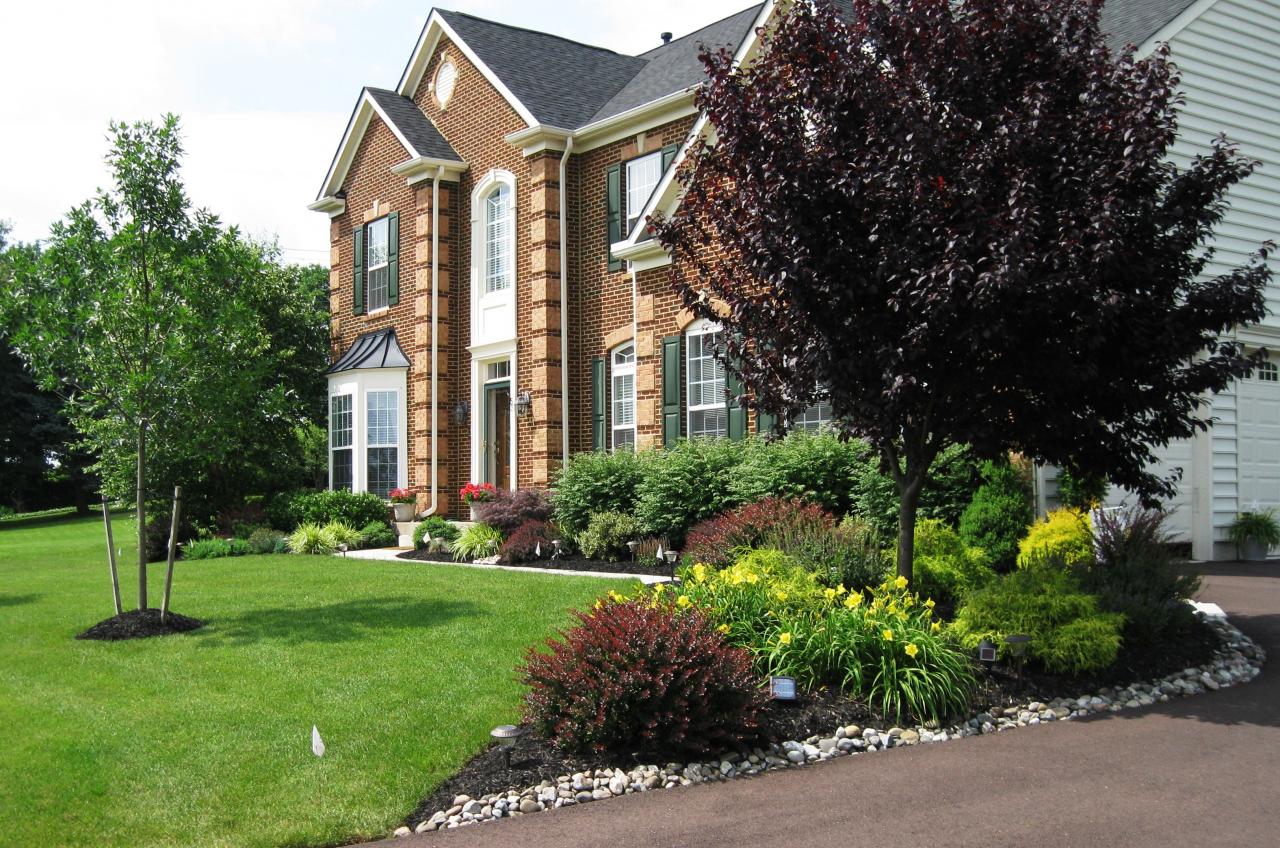 how to landscape front yard